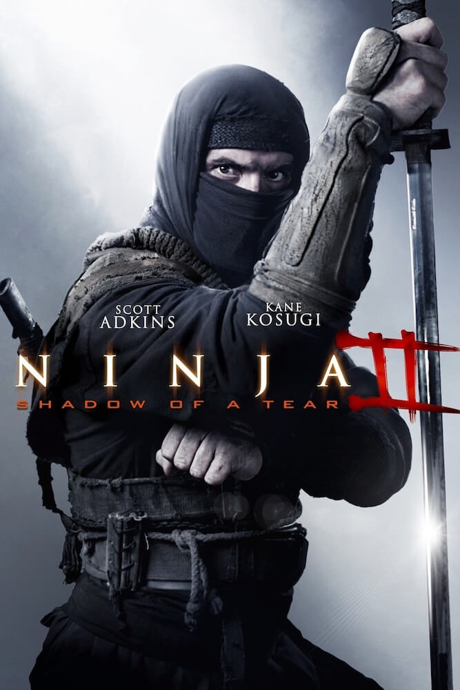 Ninja poster